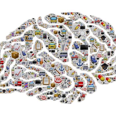 Brain activity